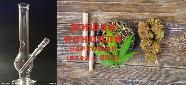 PSILOCYBIN Богданович