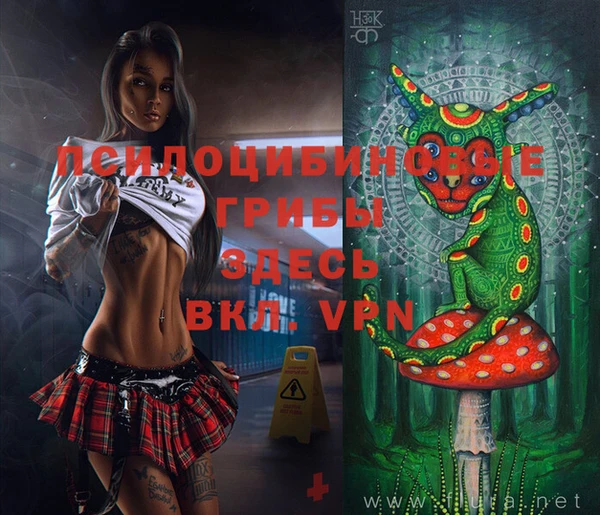 PSILOCYBIN Богданович