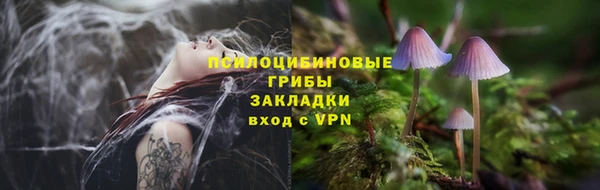 PSILOCYBIN Богданович