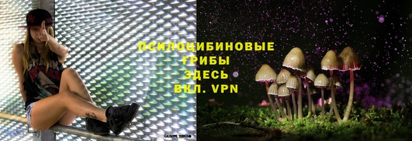 марки lsd Богородицк