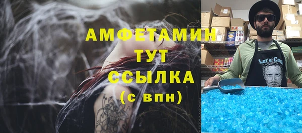 PSILOCYBIN Богданович